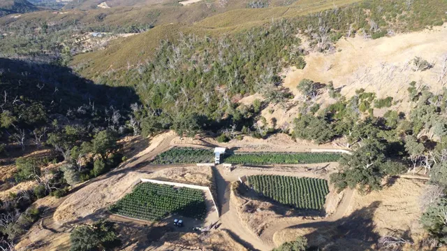 a view of outdoor space and yard