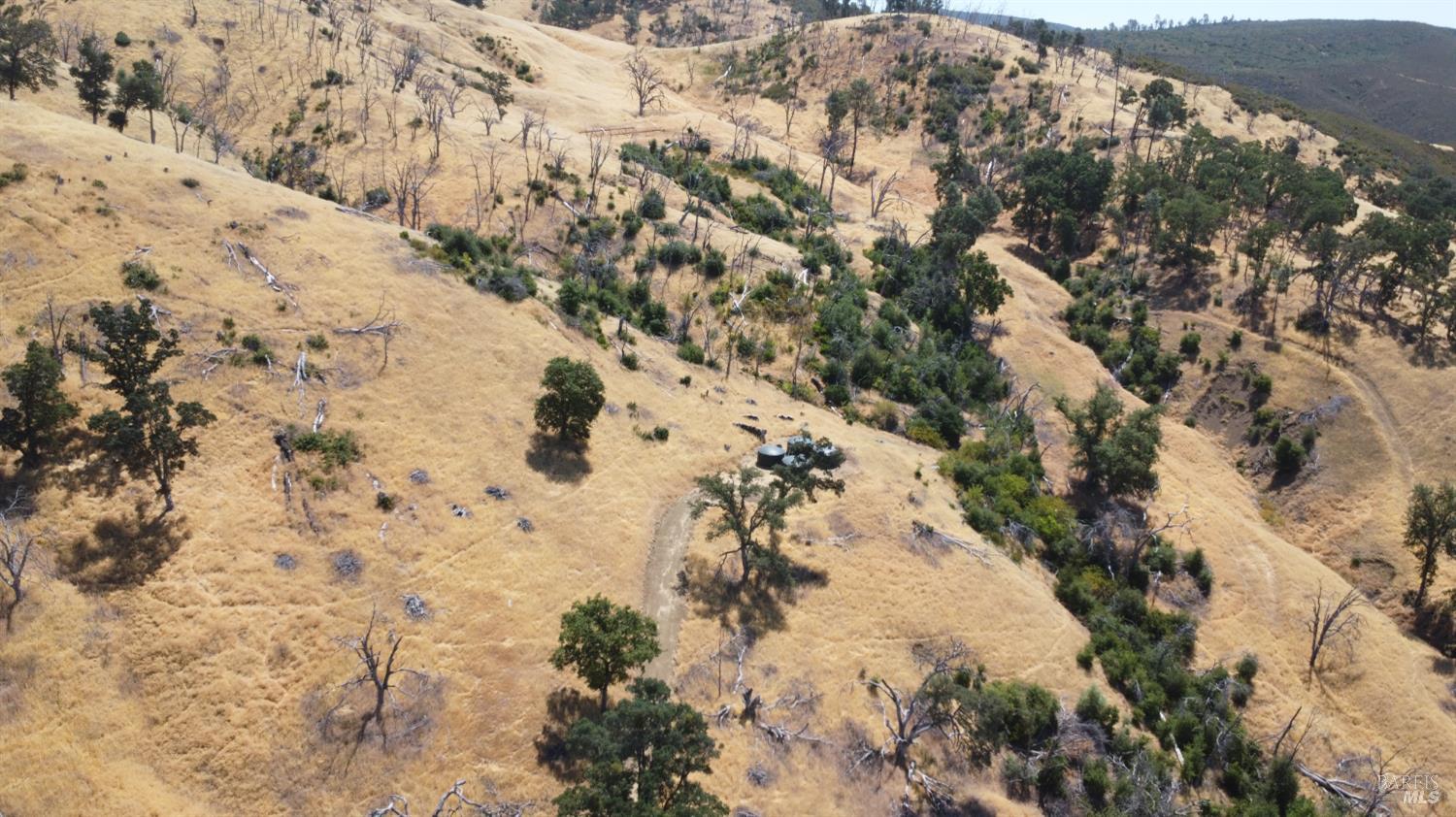 Undisclosed Address Lower Lake, CA 95457 - Photo 10 of 26 a view of a dry yard with lots of trees