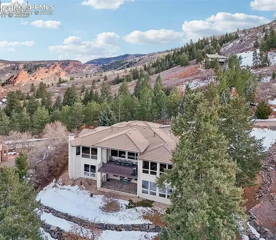 a view of a forest with a tree