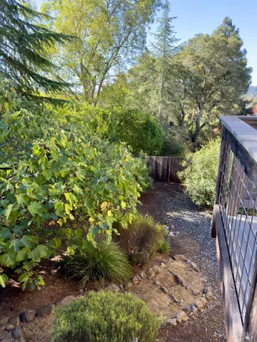 a view of a backyard with chairs and potted plants