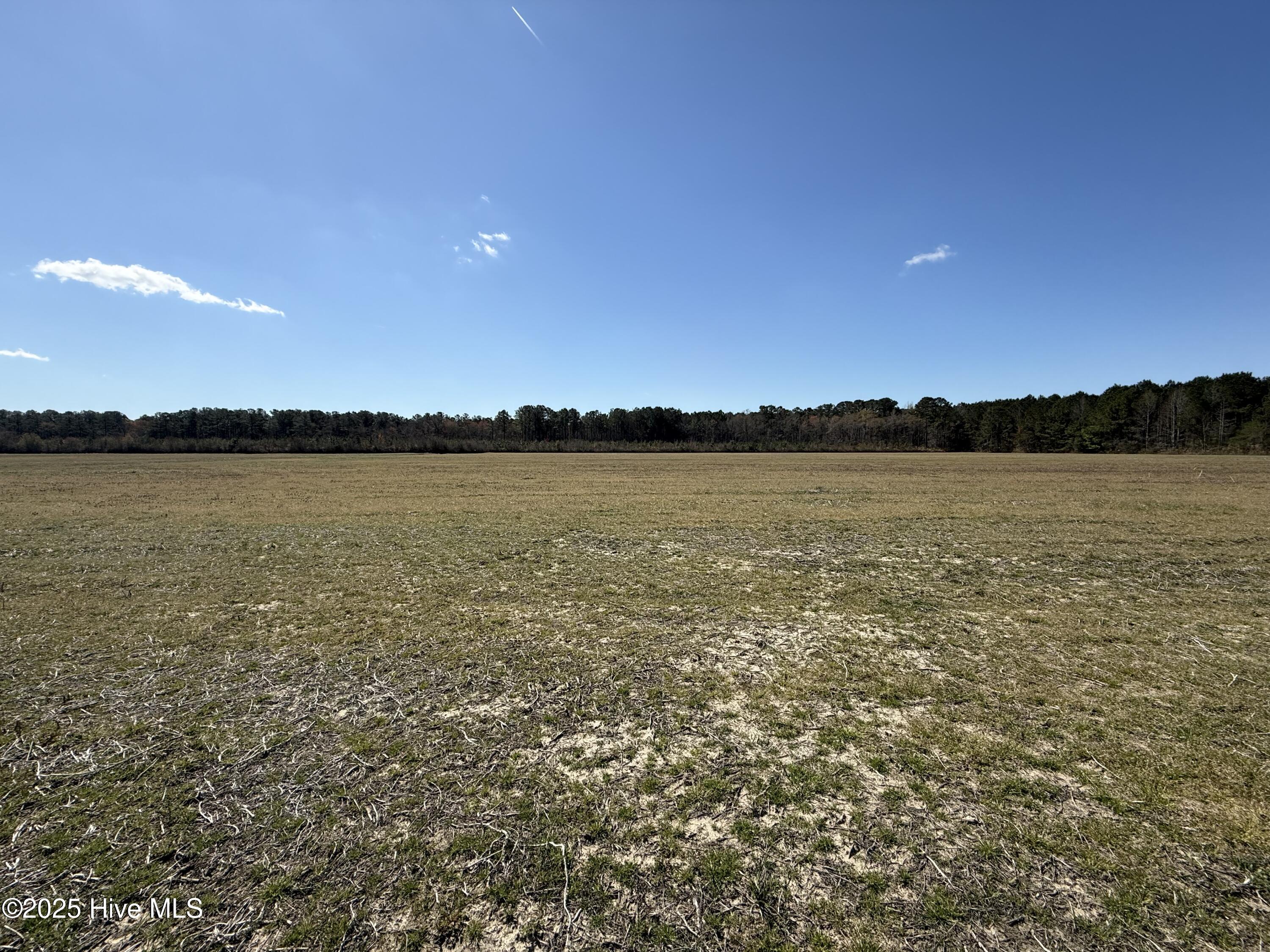 0 Meeks Road Robersonville, NC 27871 - Photo 11 of 12 cropland