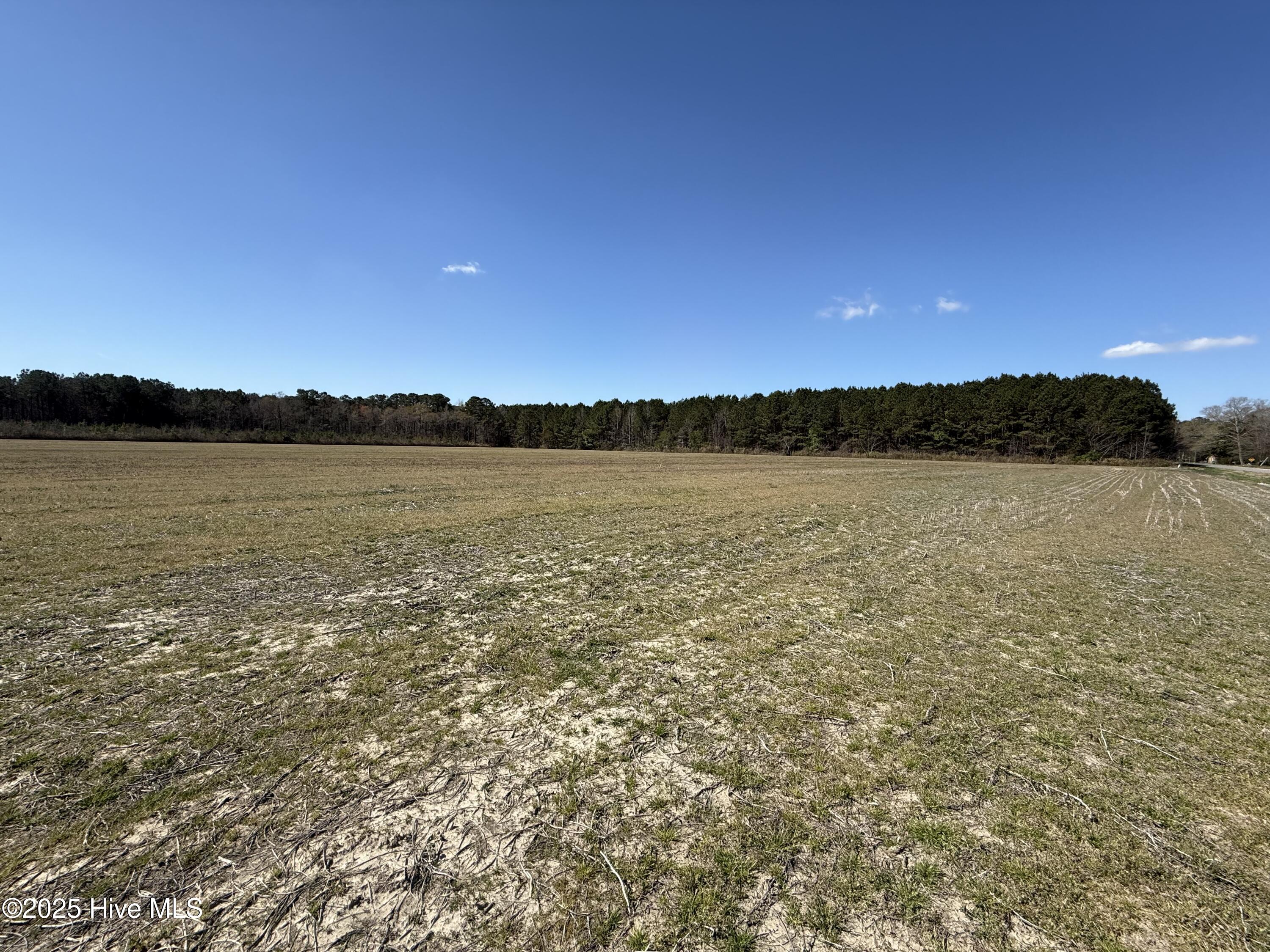 0 Meeks Road Robersonville, NC 27871 - Photo 12 of 12 cropland
