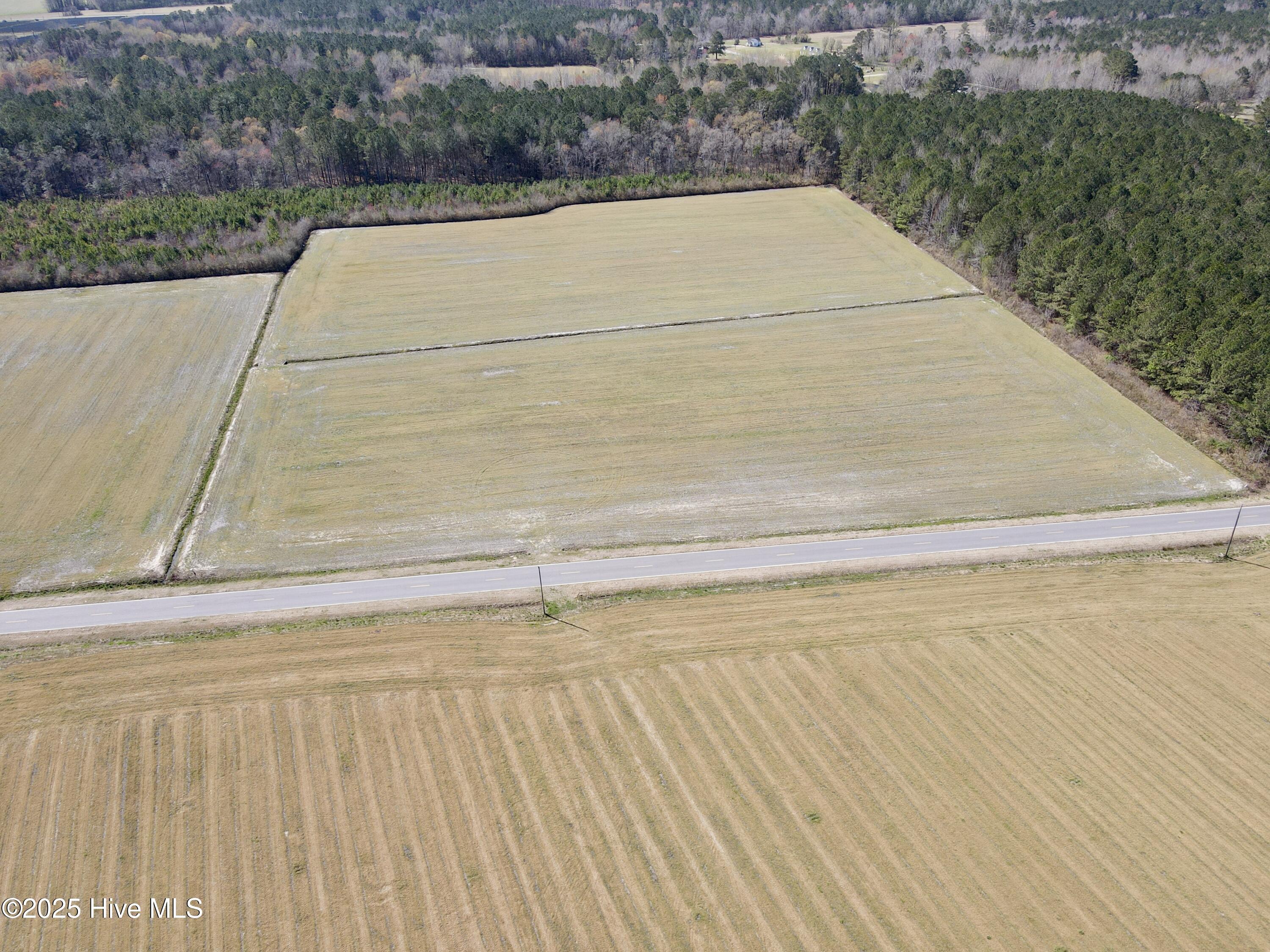 0 Meeks Road Robersonville, NC 27871 - Photo 4 of 12 Open cleared lan