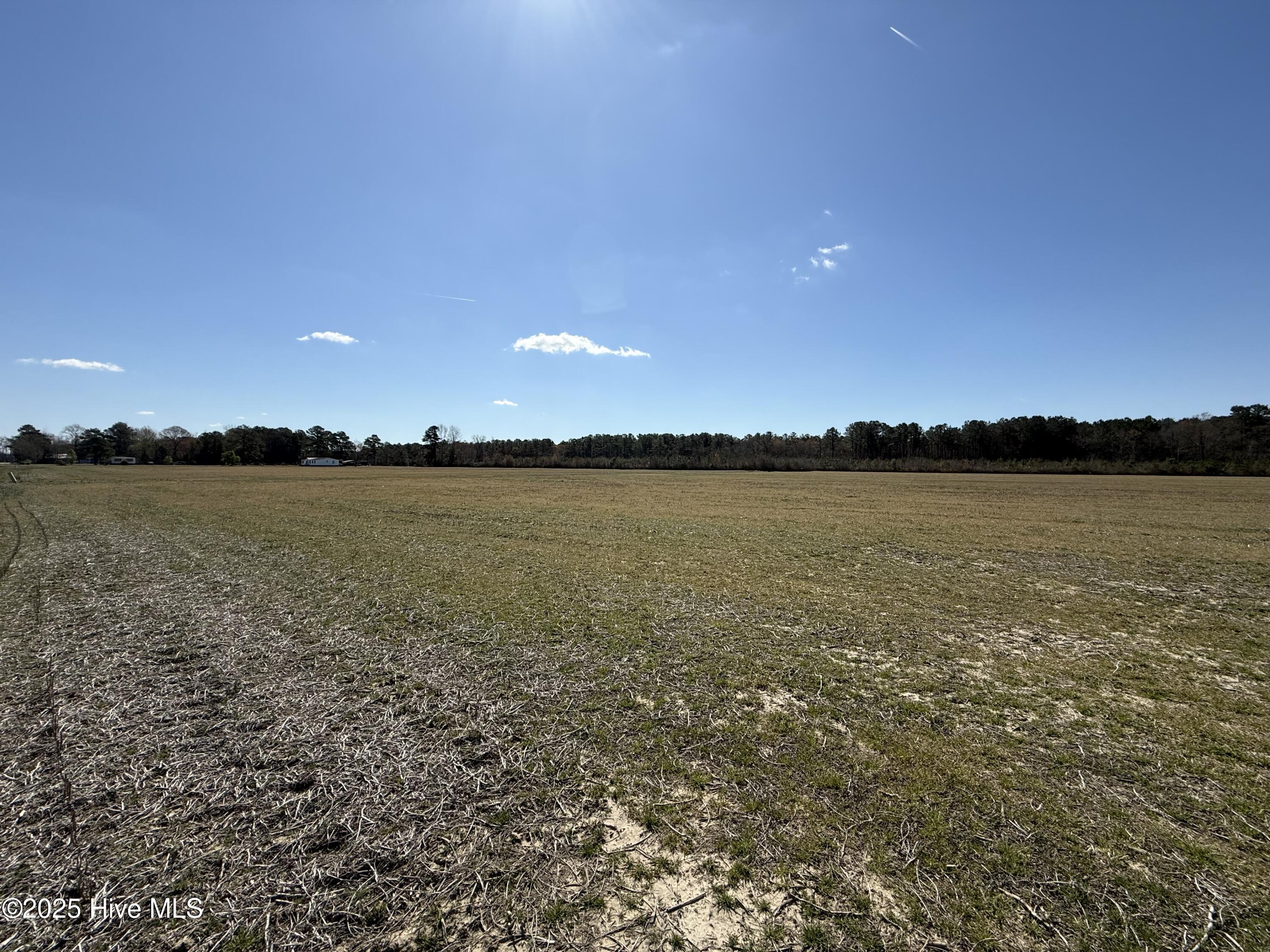 0 Meeks Road Robersonville, NC 27871 - Photo 10 of 12 cropland
