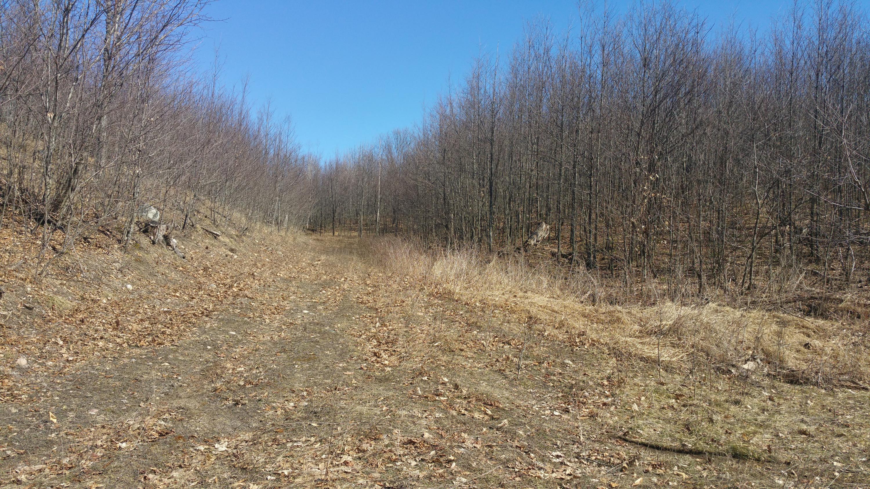 Off Of Tower Road Curran, MI 48728 - Photo 7 of 9 Gallery Image 7