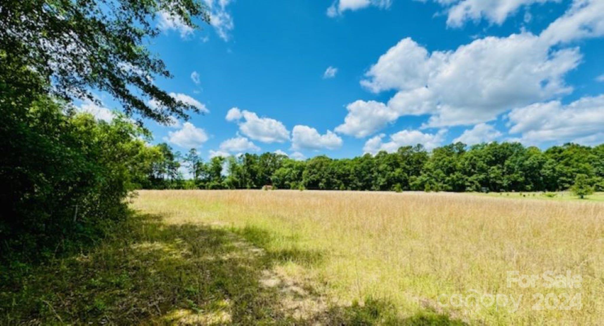 377 Tatum Road Bennettsville, SC 29512 - Photo 5 of 8 Gallery Image 5