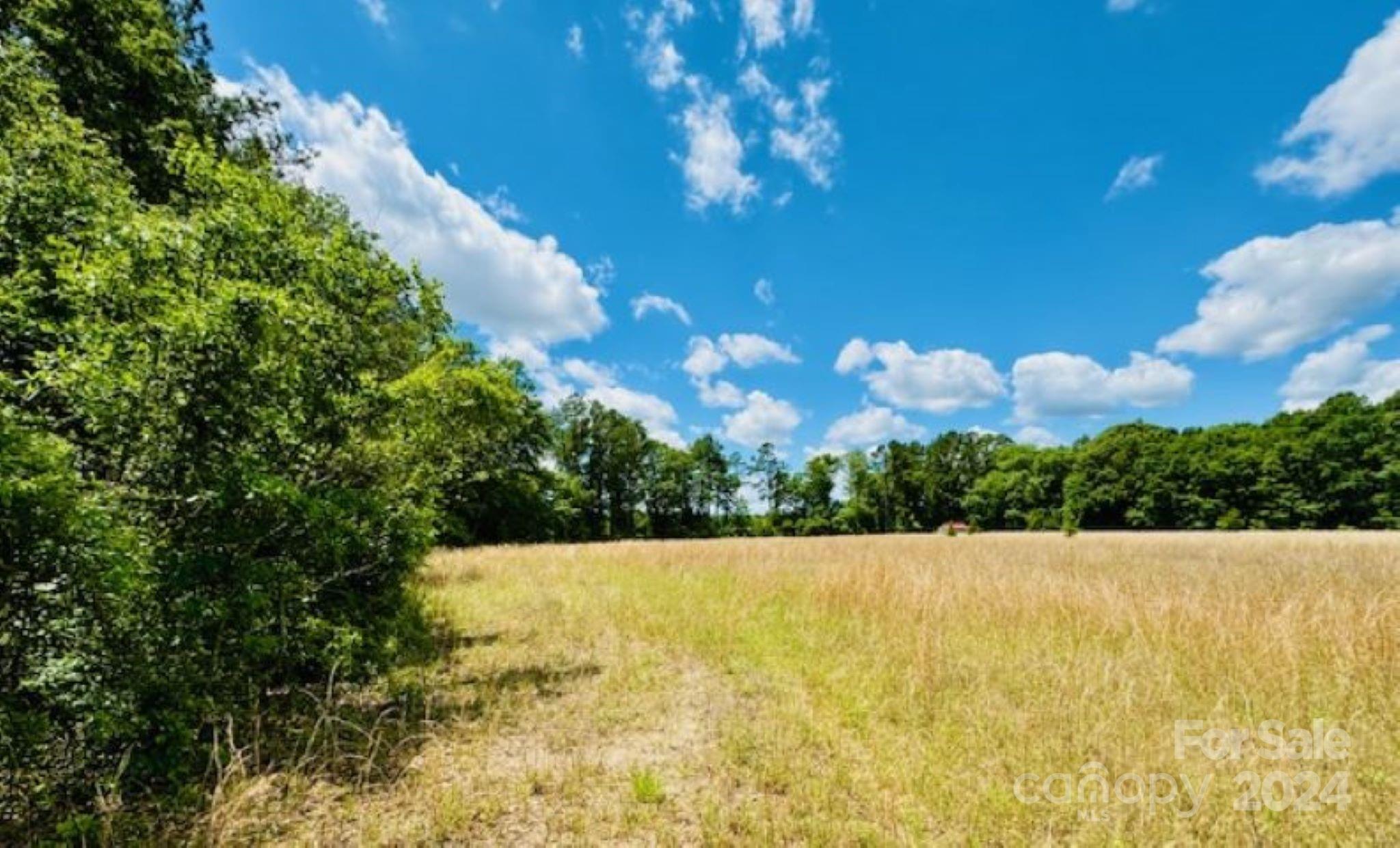 377 Tatum Road Bennettsville, SC 29512 - Photo 6 of 8 Gallery Image 6