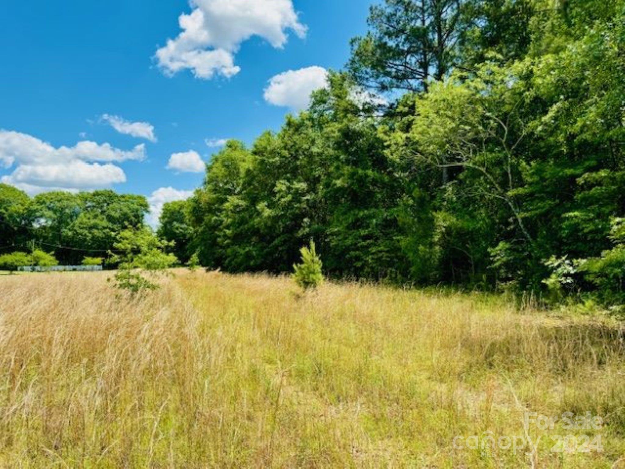 377 Tatum Road Bennettsville, SC 29512 - Photo 8 of 8 Gallery Image 8