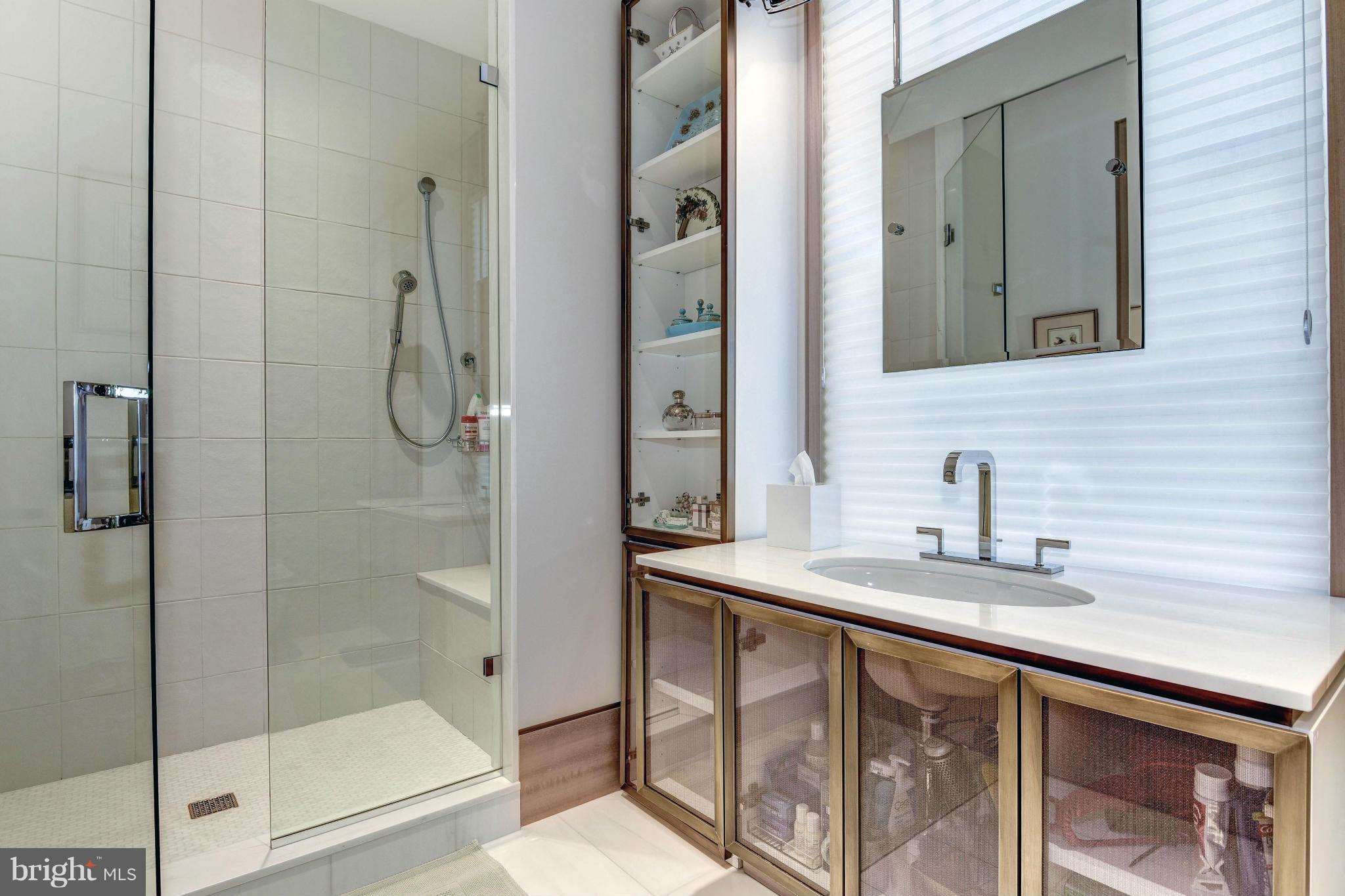 2121 Dunmore Lane Washington, DC 20007 - Photo 20 of 30 Bath (Master)