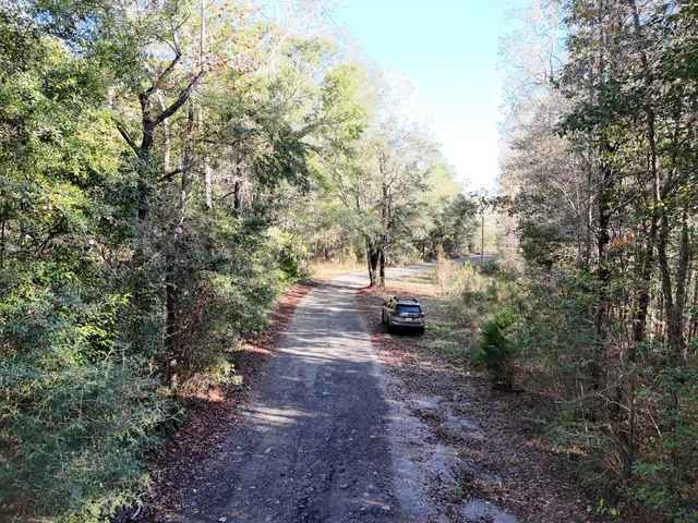 $69,000 | 160 Louie Miller Road, Ponce de Leon, FL 32455