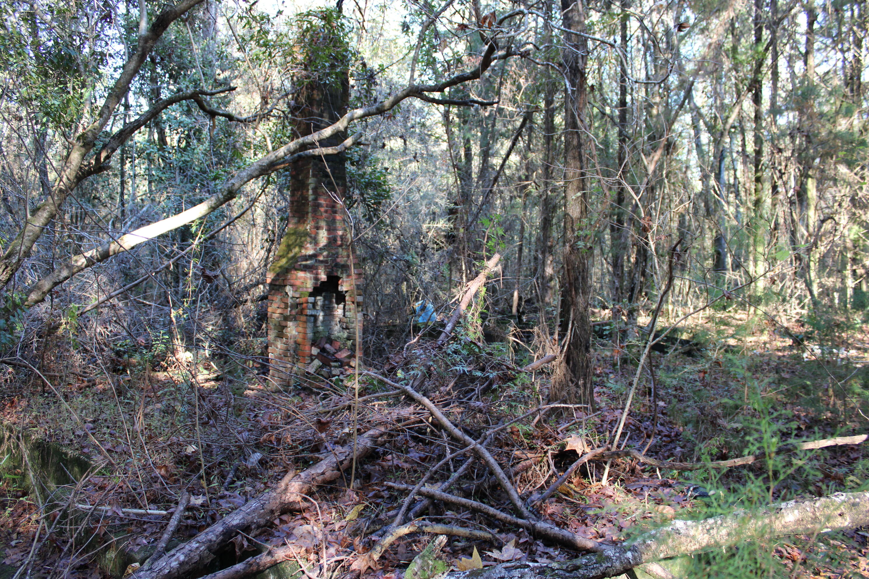160 Louie Miller Road Ponce de Leon, FL 32455 - Photo 12 of 13 a backyard of a house with lots of trees