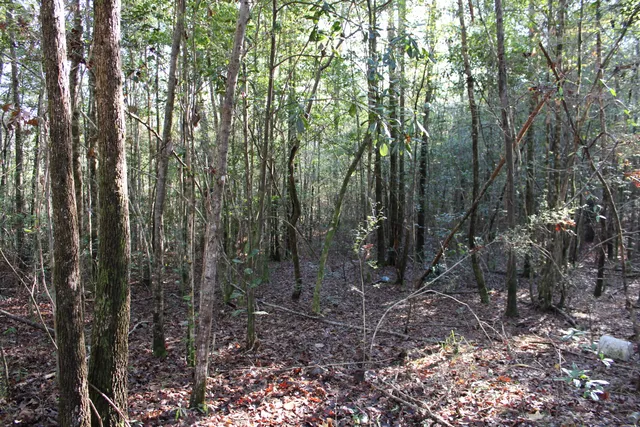 $69,000 | 160 Louie Miller Road, Ponce de Leon, FL 32455