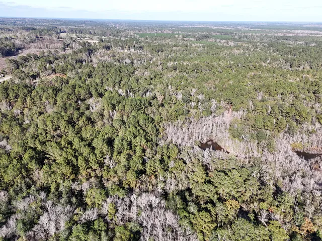 a view of outdoor space with trees