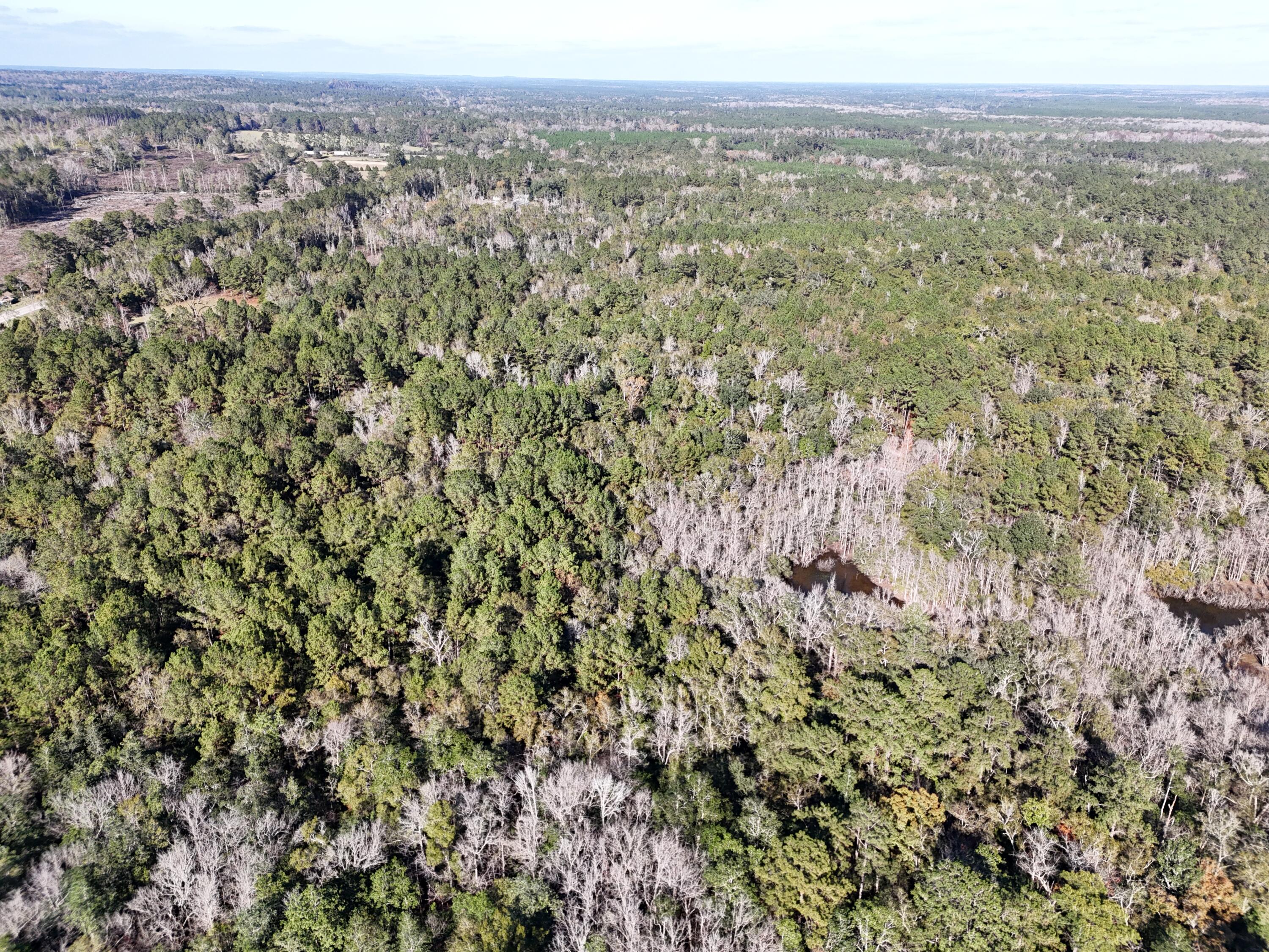 160 Louie Miller Road Ponce de Leon, FL 32455 - Photo 4 of 13 a view of a city