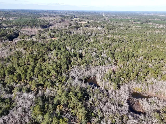 a view of a yard with an outdoor space