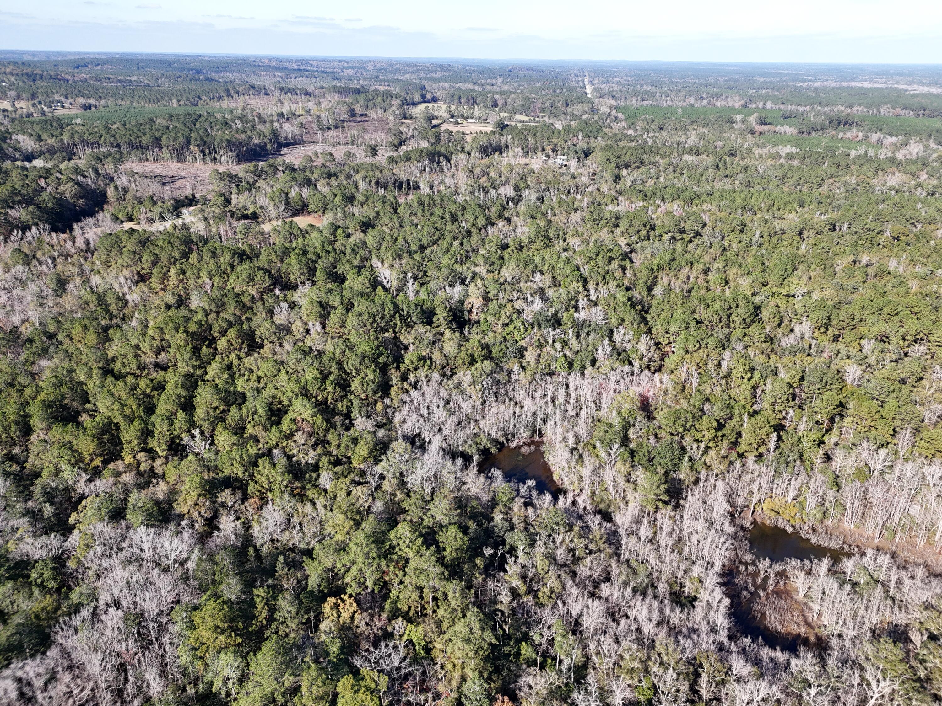 160 Louie Miller Road Ponce de Leon, FL 32455 - Photo 5 of 13 a view of a city with lush green forest