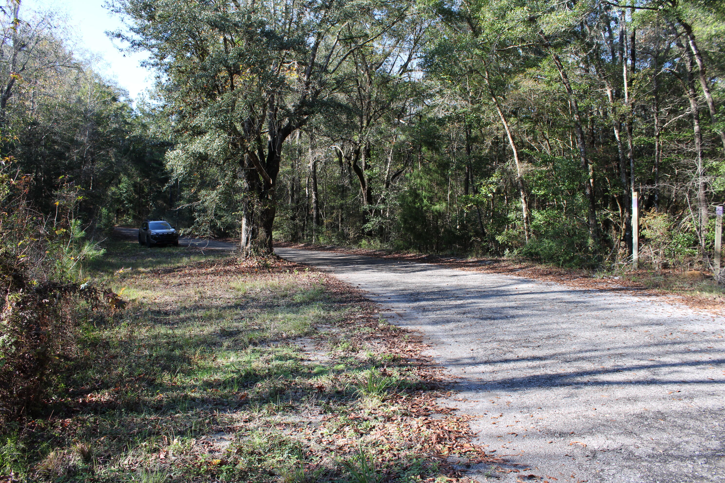 160 Louie Miller Road Ponce de Leon, FL 32455 - Photo 6 of 13 a view of outdoor space with trees