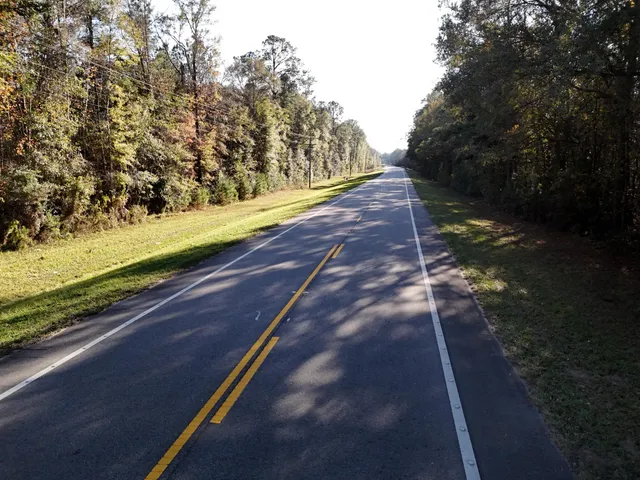 a view of a dry yard