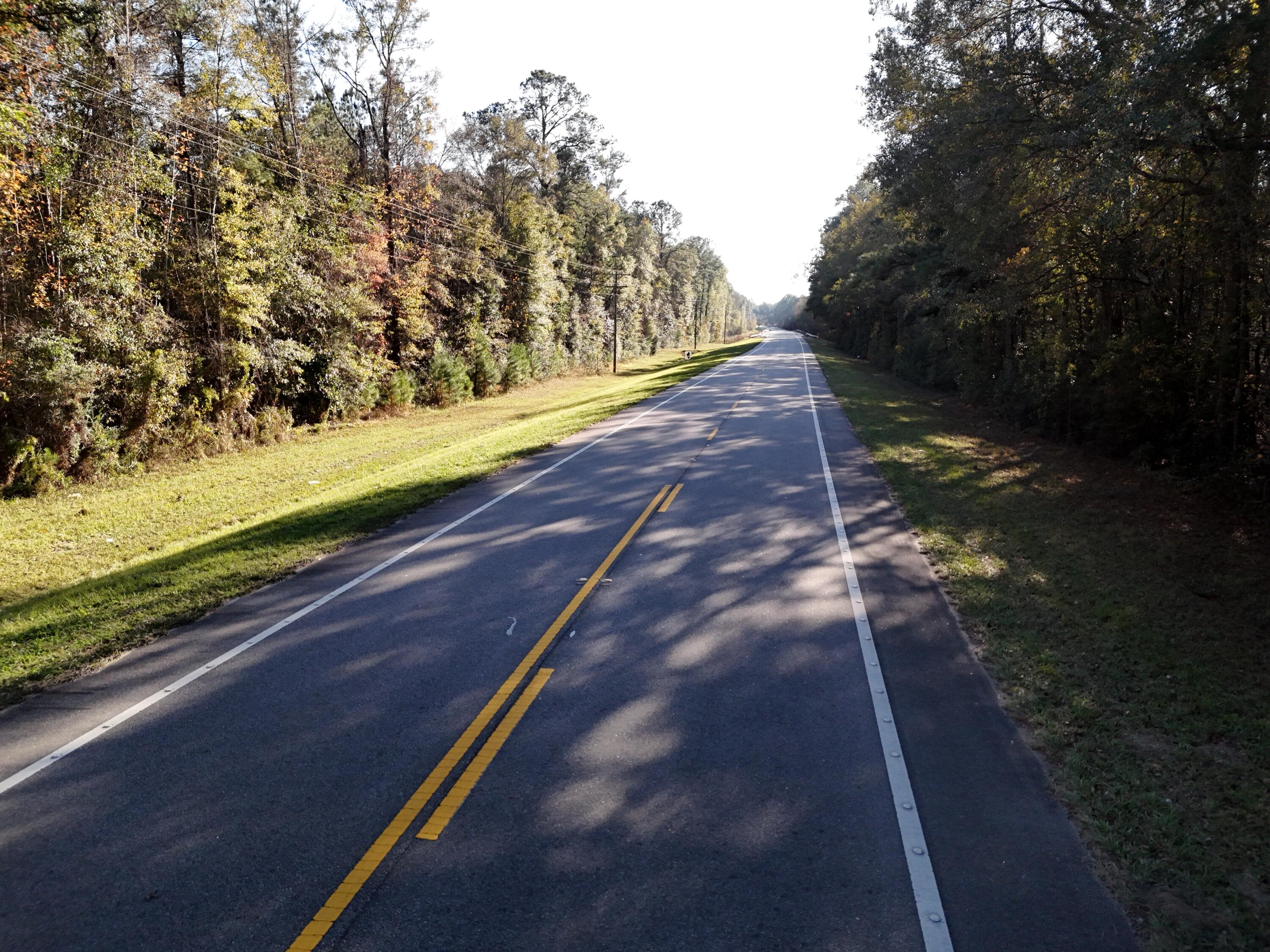 160 Louie Miller Road Ponce de Leon, FL 32455 - Photo 7 of 13 a view of a yard with an outdoor space