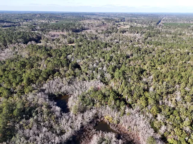 an aerial view of house with yard and mountain view
