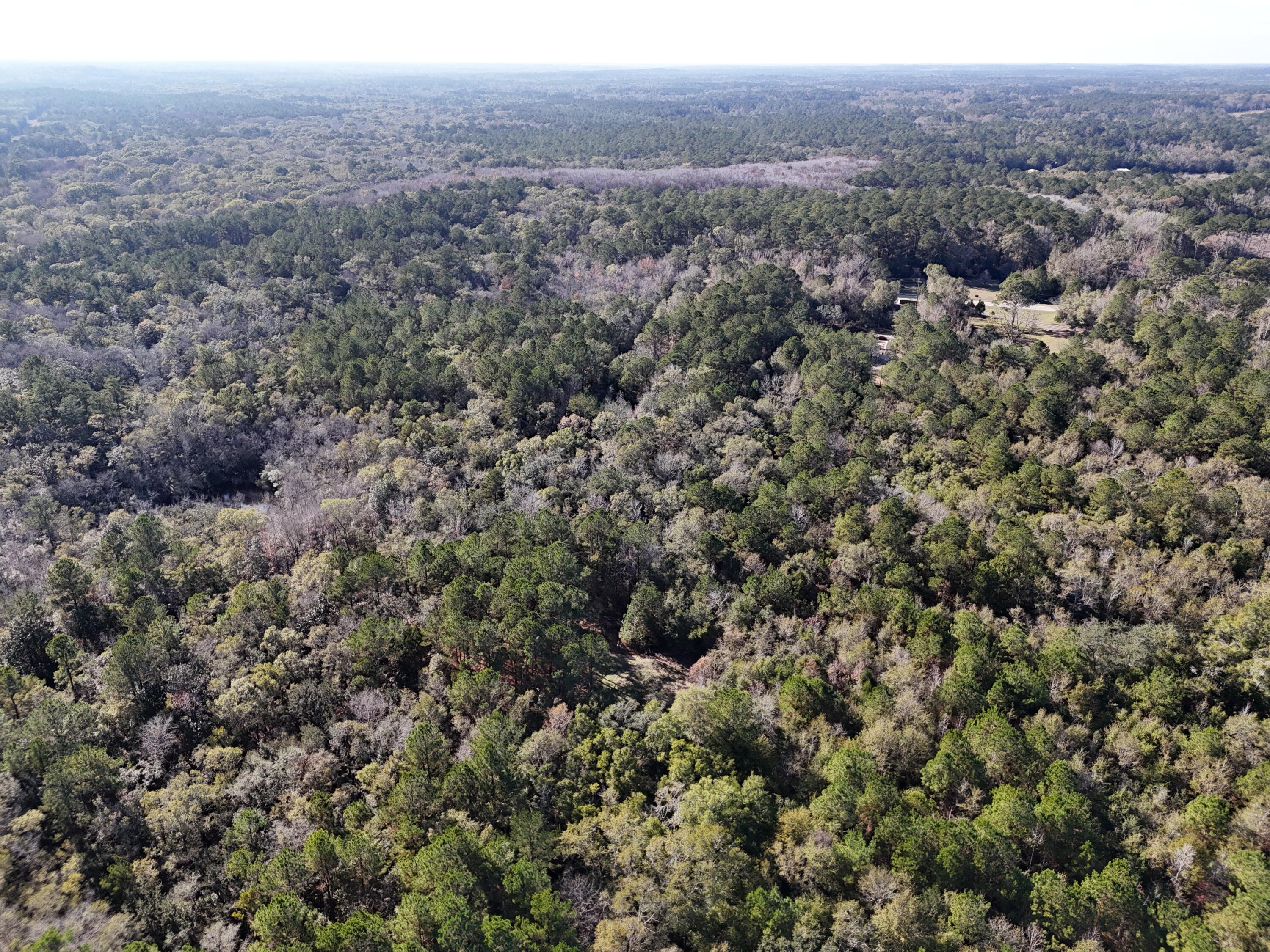 160 Louie Miller Road Ponce de Leon, FL 32455 - Photo 10 of 13 an aerial view of house with yard and mountain view