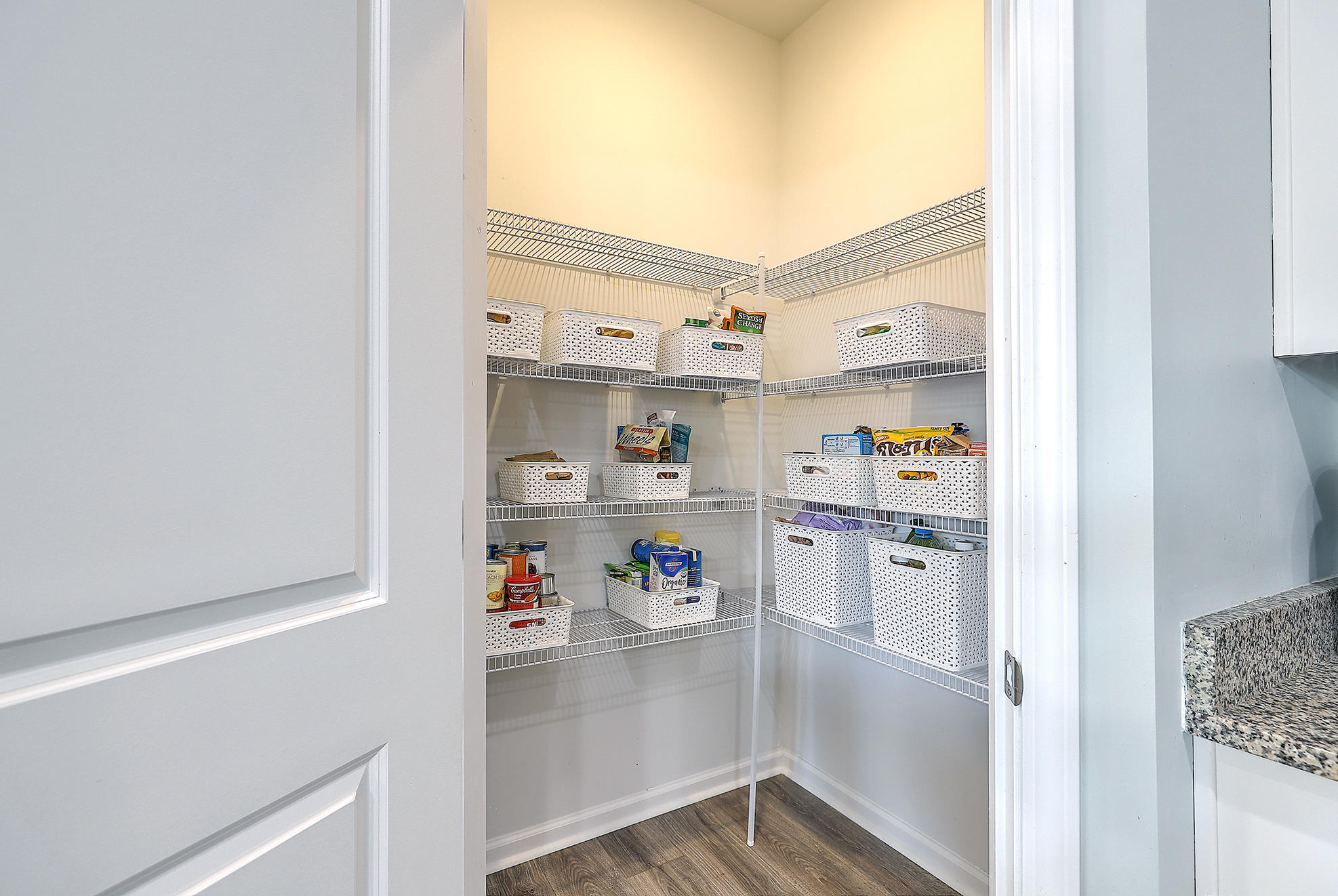 703 Kilarney Road Summerville, SC 29483 - Photo 14 of 31 This is an awesome pantry.