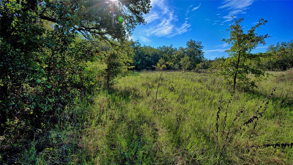 4 4 Wire Road Bowie, TX 76230 - Photo 12 of 16