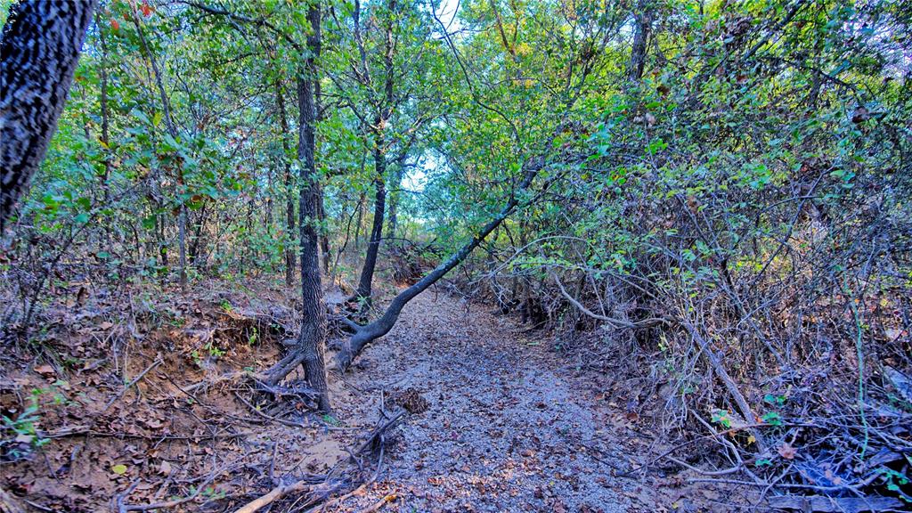 4 4 Wire Road Bowie, TX 76230 - Photo 15 of 16