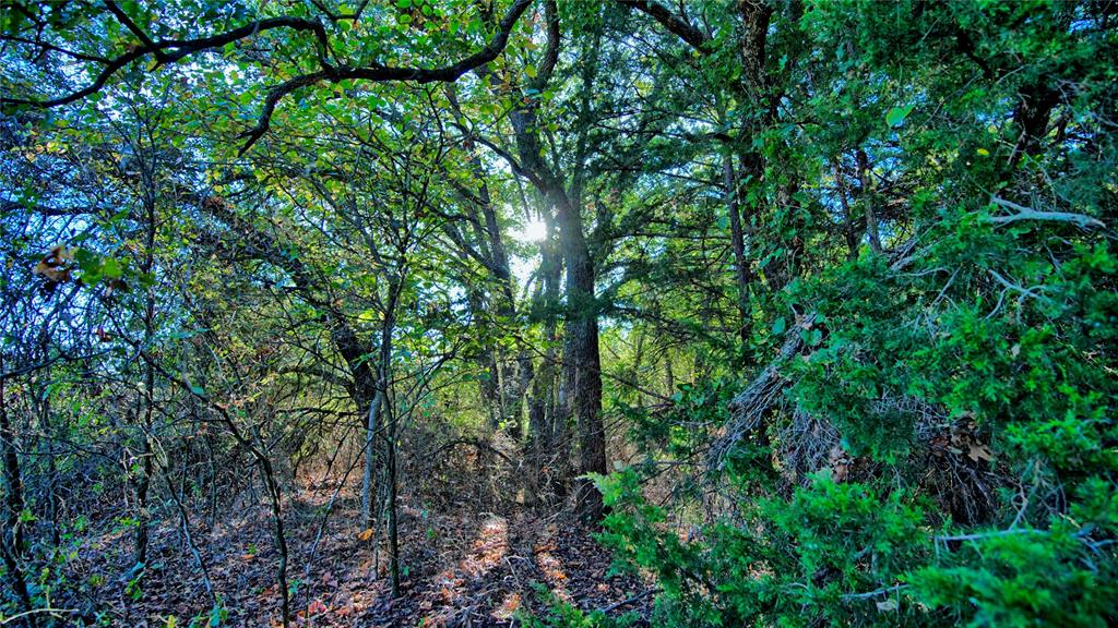 4 4 Wire Road Bowie, TX 76230 - Photo 16 of 16