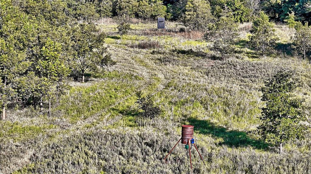 4 4 Wire Road Bowie, TX 76230 - Photo 2 of 16