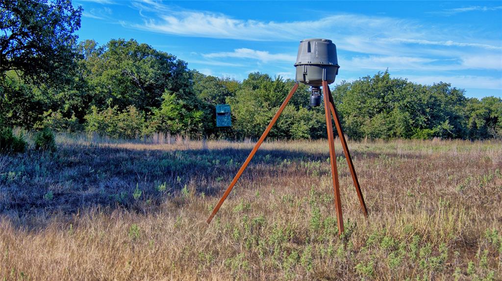 4 4 Wire Road Bowie, TX 76230 - Photo 5 of 16