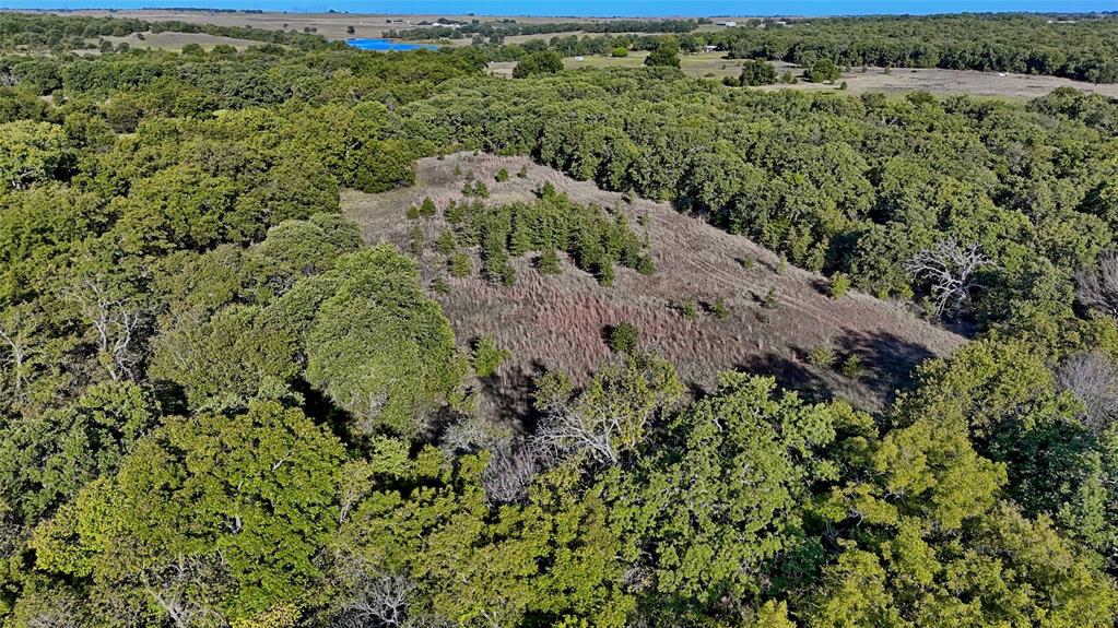 4 4 Wire Road Bowie, TX 76230 - Photo 8 of 16