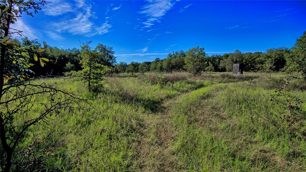 4 4 Wire Road Bowie, TX 76230 - Photo 10 of 16