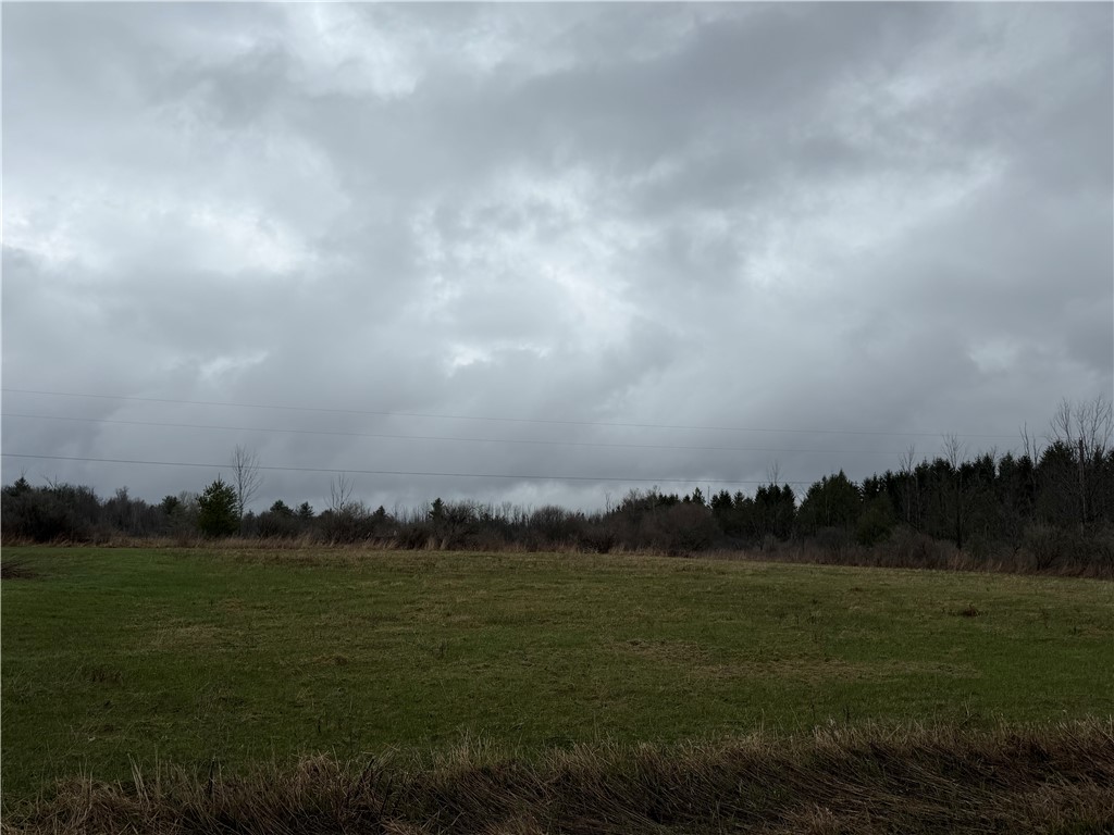 6455 Yost Road Cameron Mills, NY 14820 - Photo 2 of 8