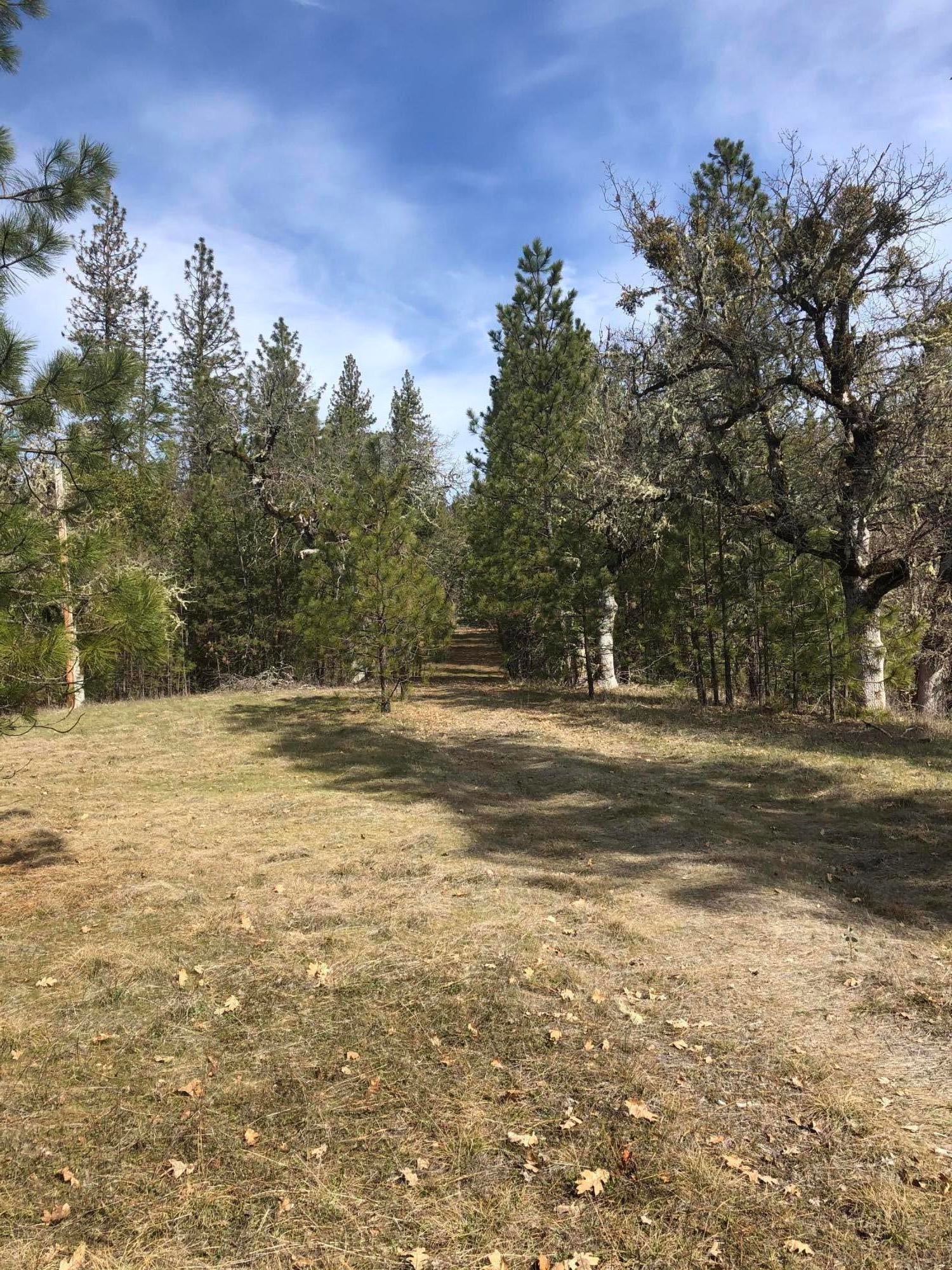 meadows 7