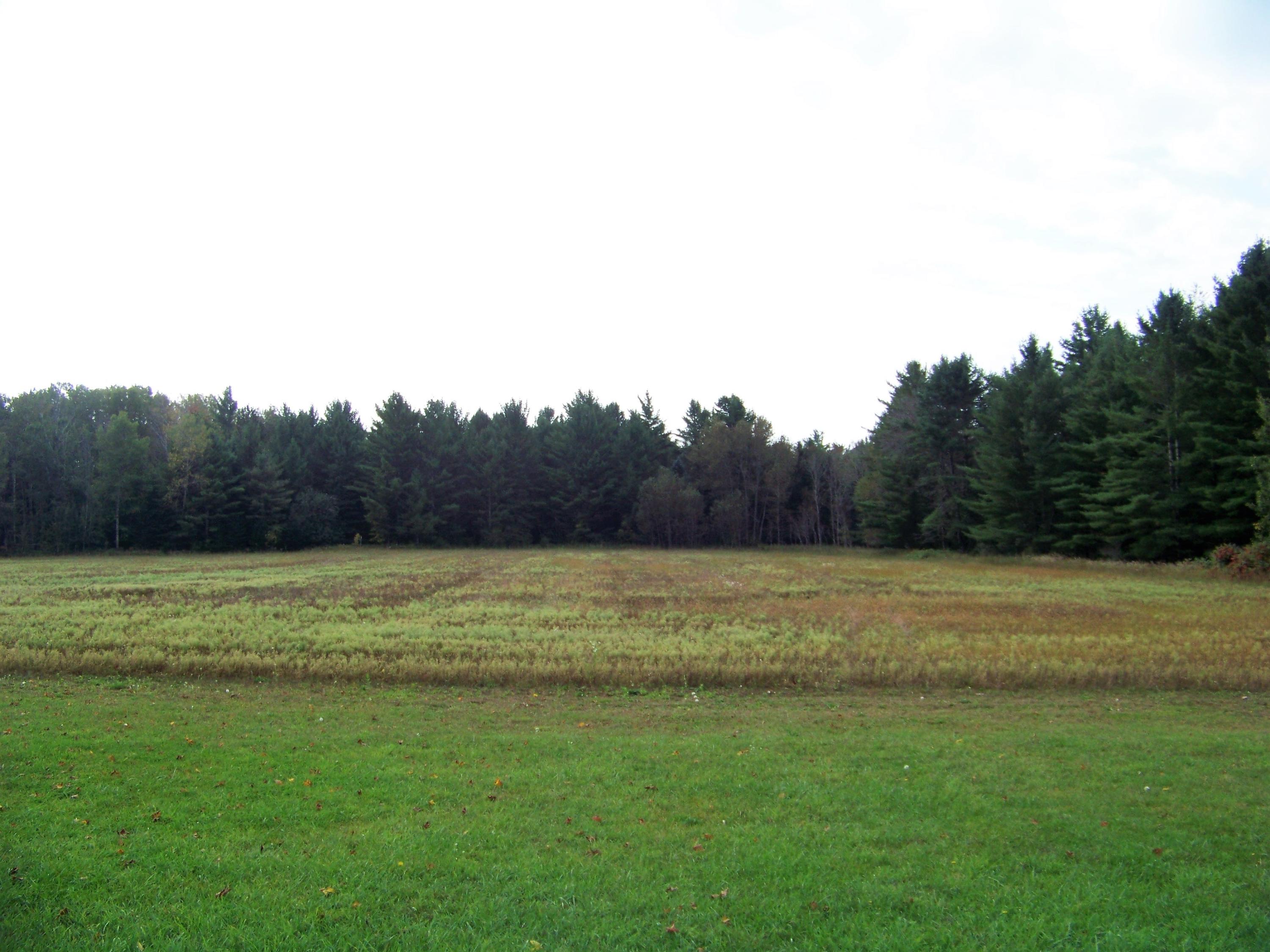 12793 Thorne Road Lachine, MI 49753 - Photo 34 of 37 Gallery Image 34