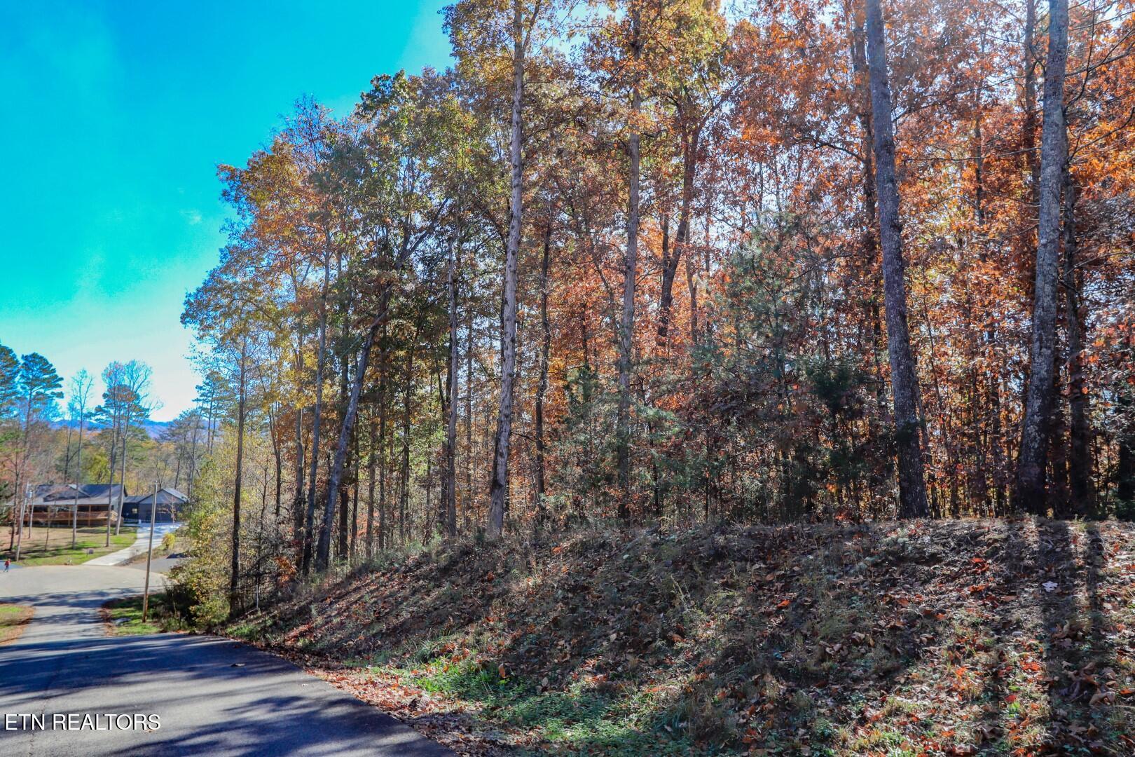 1413 Timber Trail Newport, TN 37821 - Photo 11 of 28 11