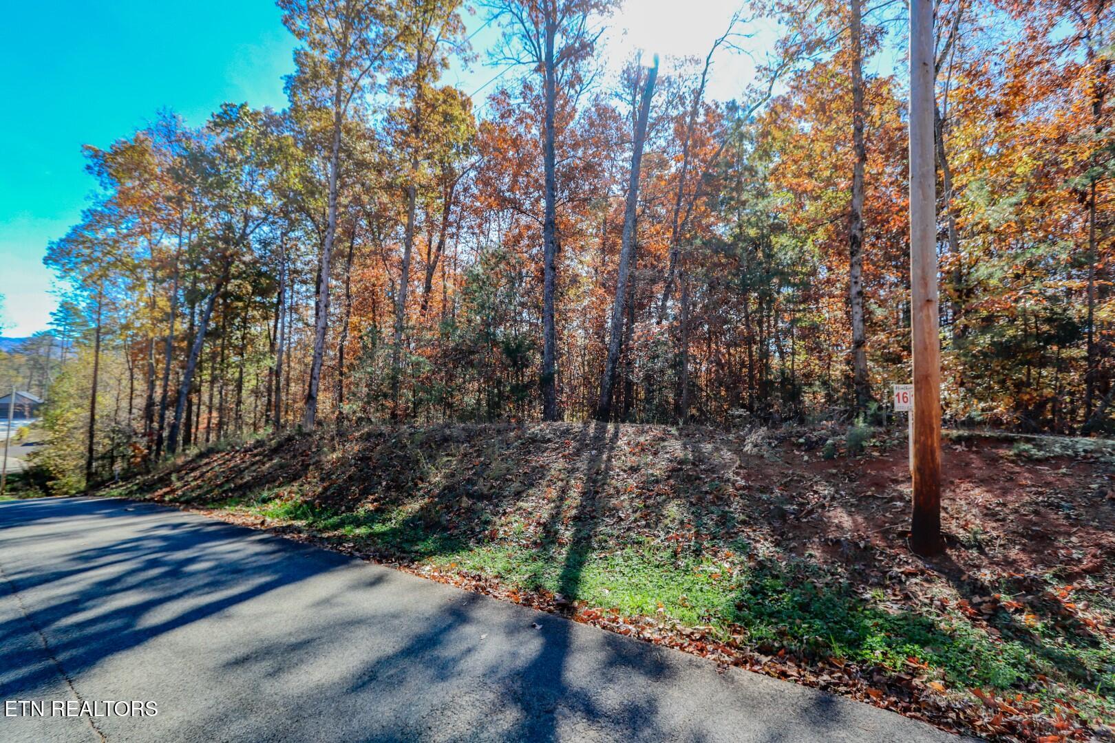 1413 Timber Trail Newport, TN 37821 - Photo 12 of 28 12