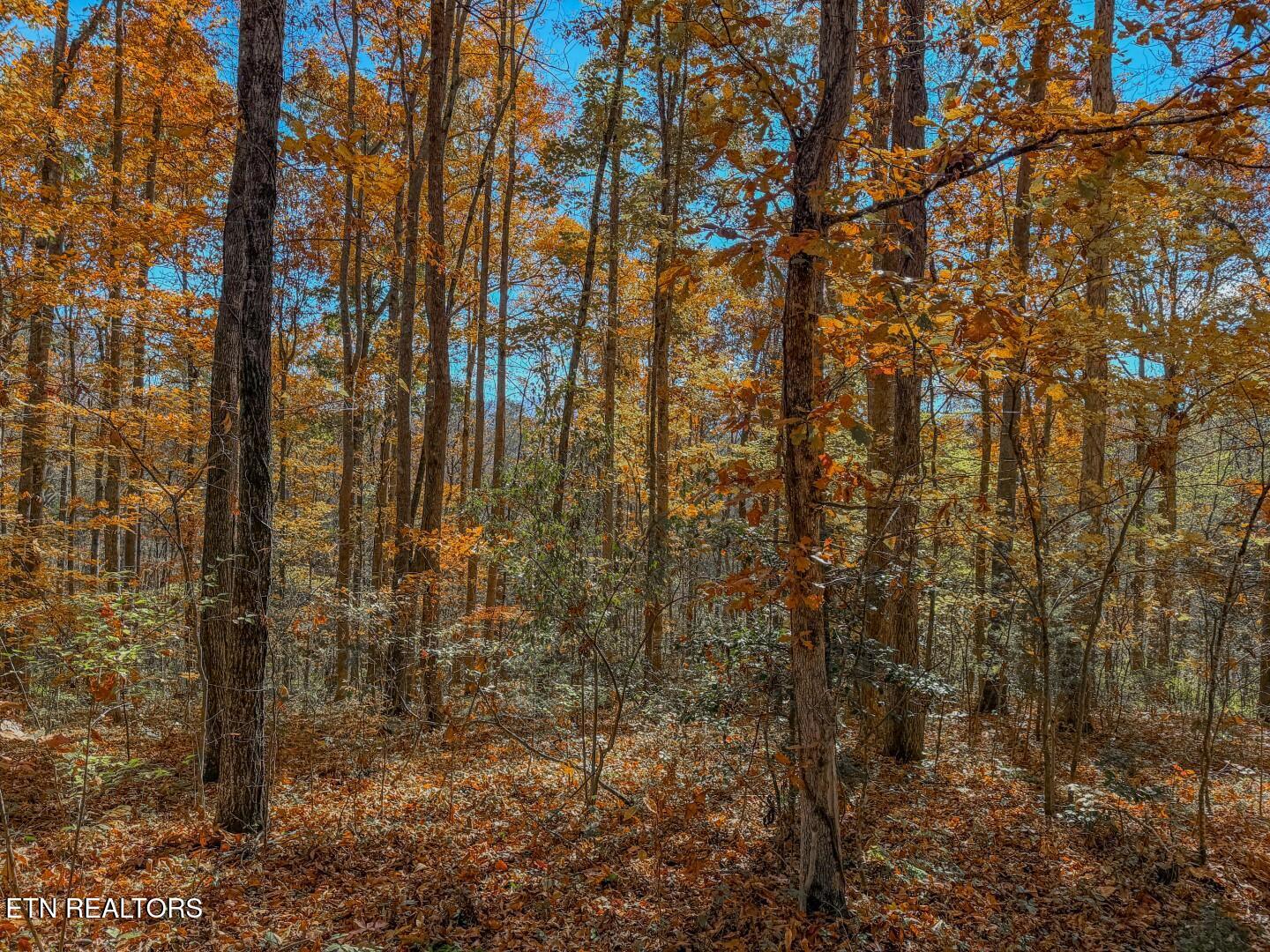 1413 Timber Trail Newport, TN 37821 - Photo 23 of 28 22