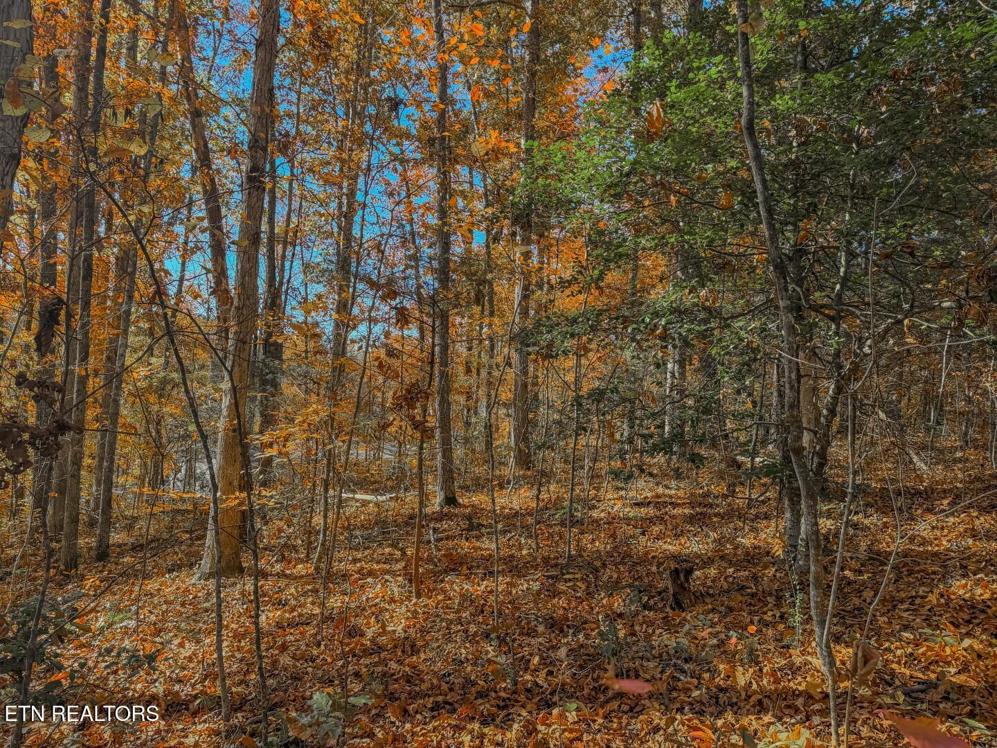 1413 Timber Trail Newport, TN 37821 - Photo 24 of 28 23