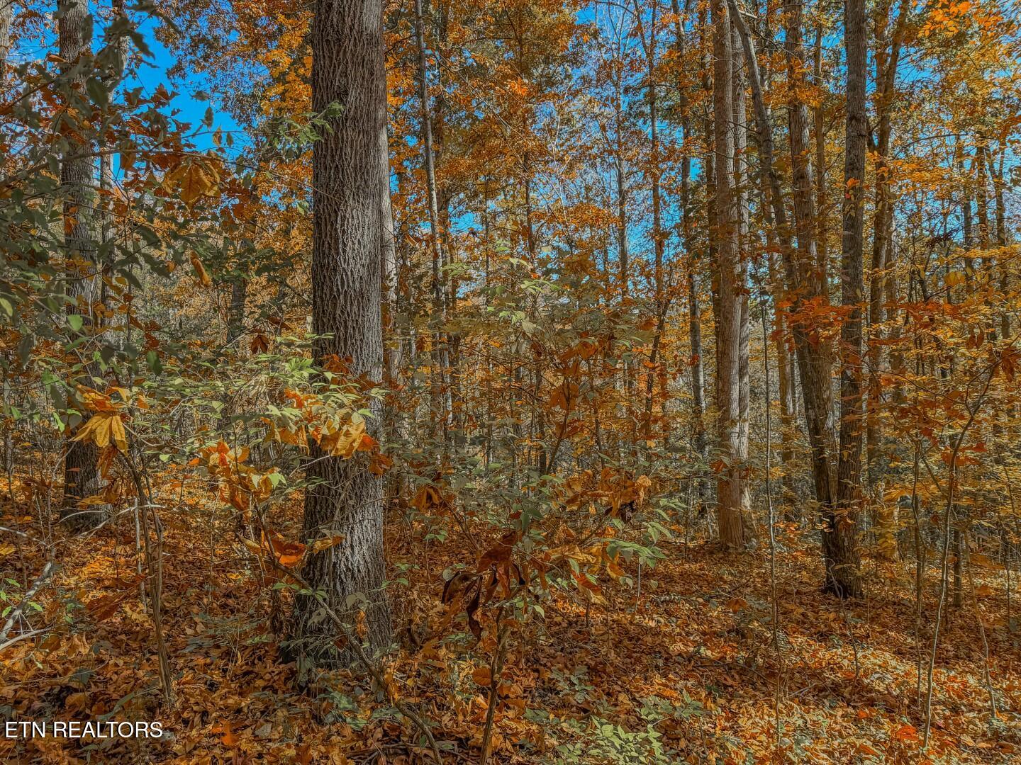 1413 Timber Trail Newport, TN 37821 - Photo 25 of 28 24