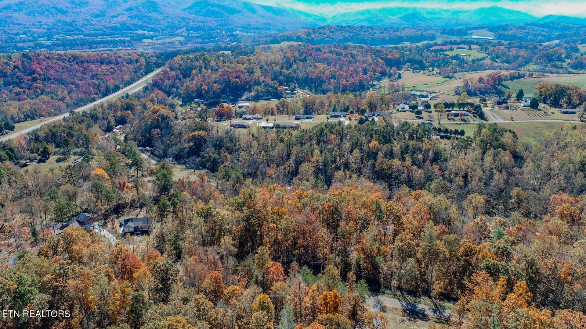 1413 Timber Trail Newport, TN 37821 - Photo 3 of 28 3