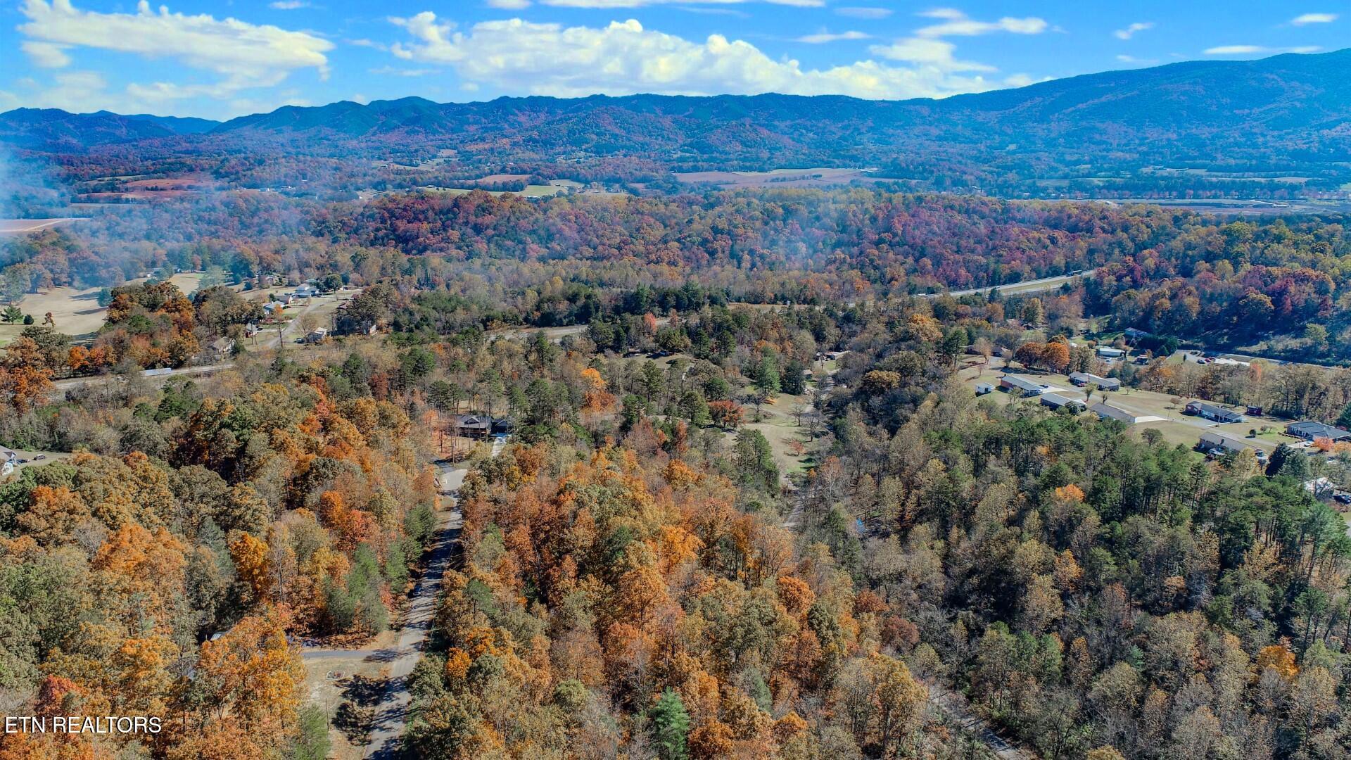 1413 Timber Trail Newport, TN 37821 - Photo 5 of 28 5