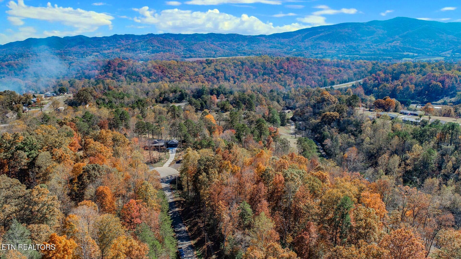 1413 Timber Trail Newport, TN 37821 - Photo 6 of 28 6