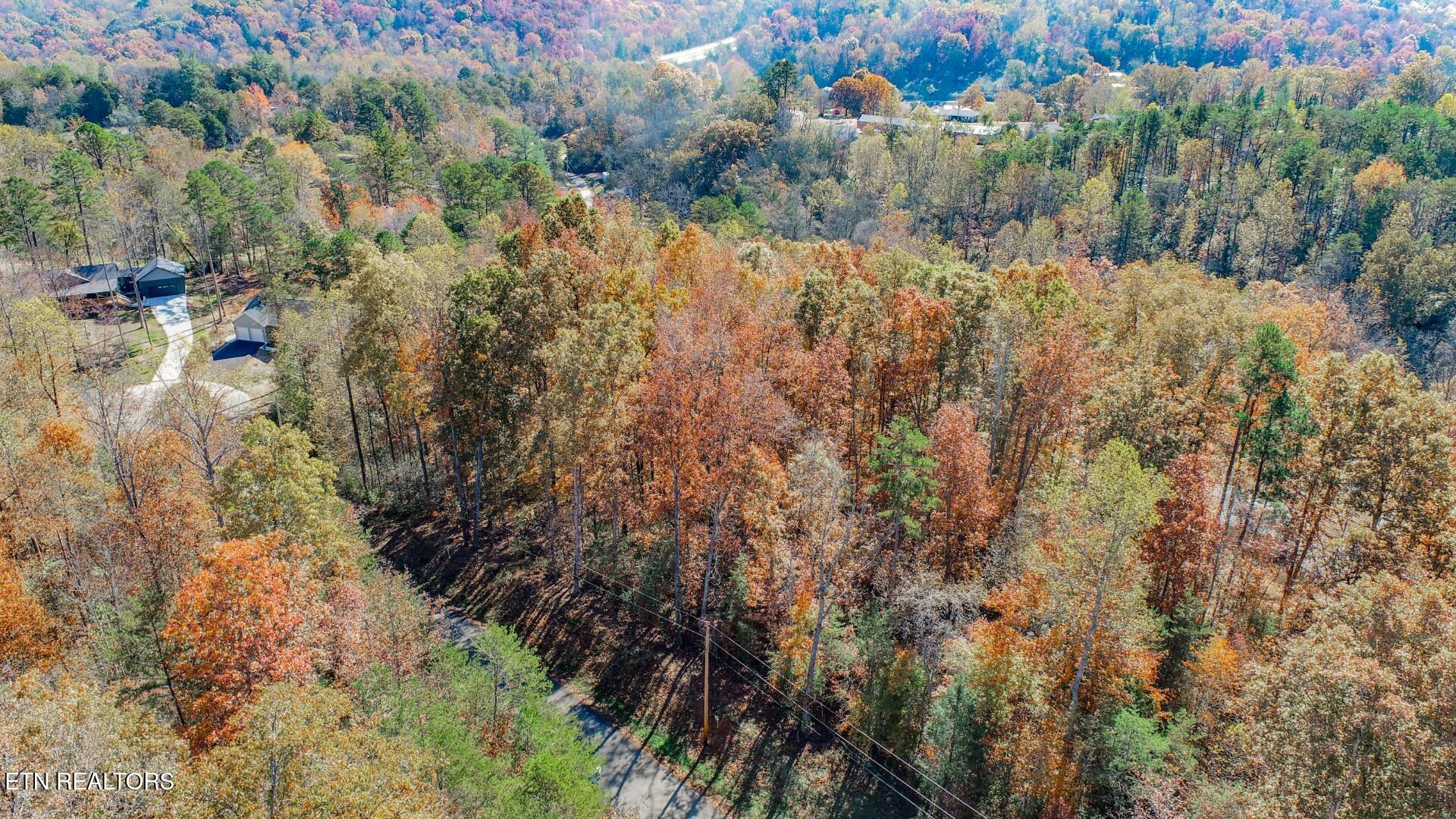 1413 Timber Trail Newport, TN 37821 - Photo 8 of 28 8