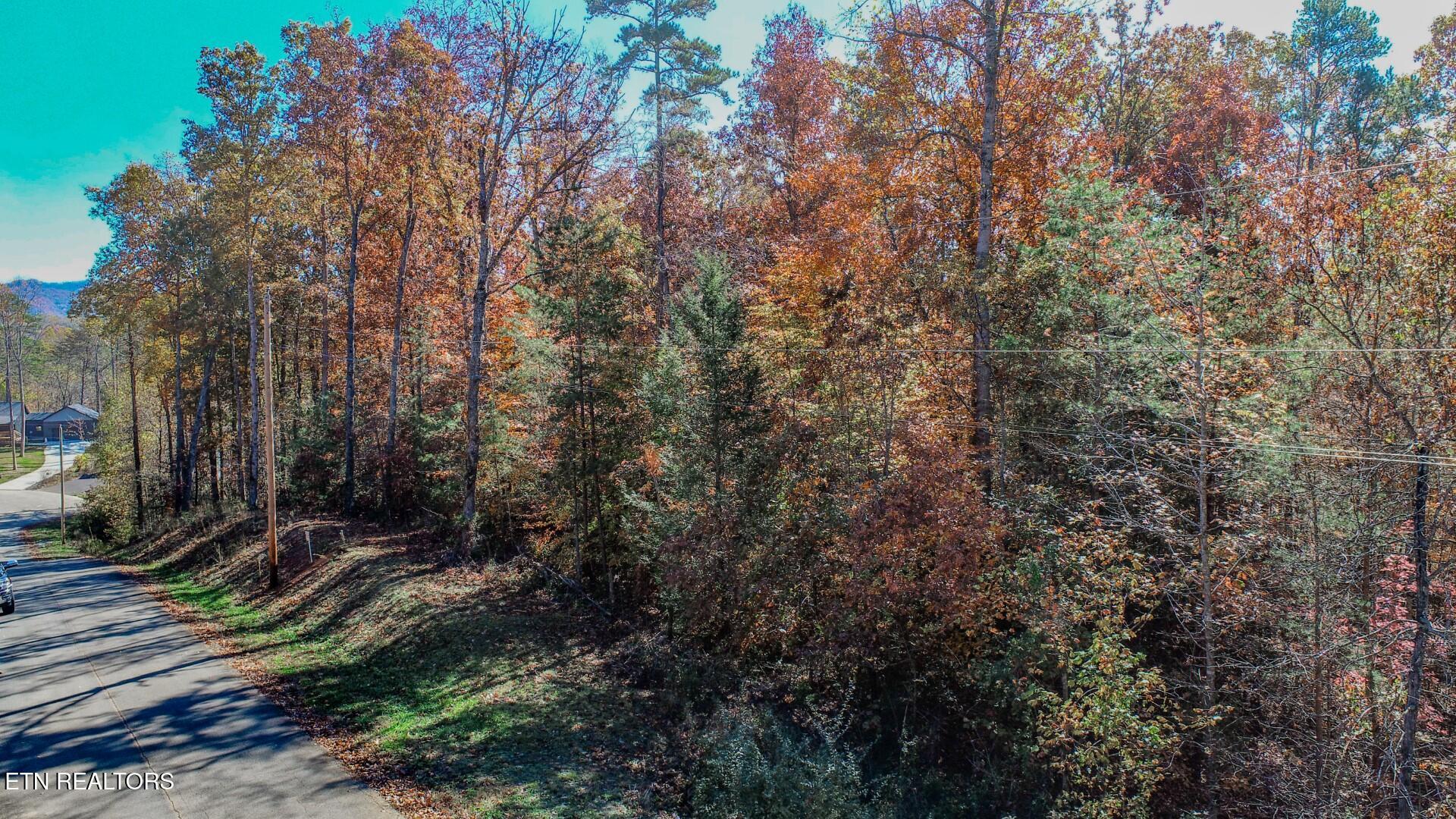 1413 Timber Trail Newport, TN 37821 - Photo 10 of 28 10