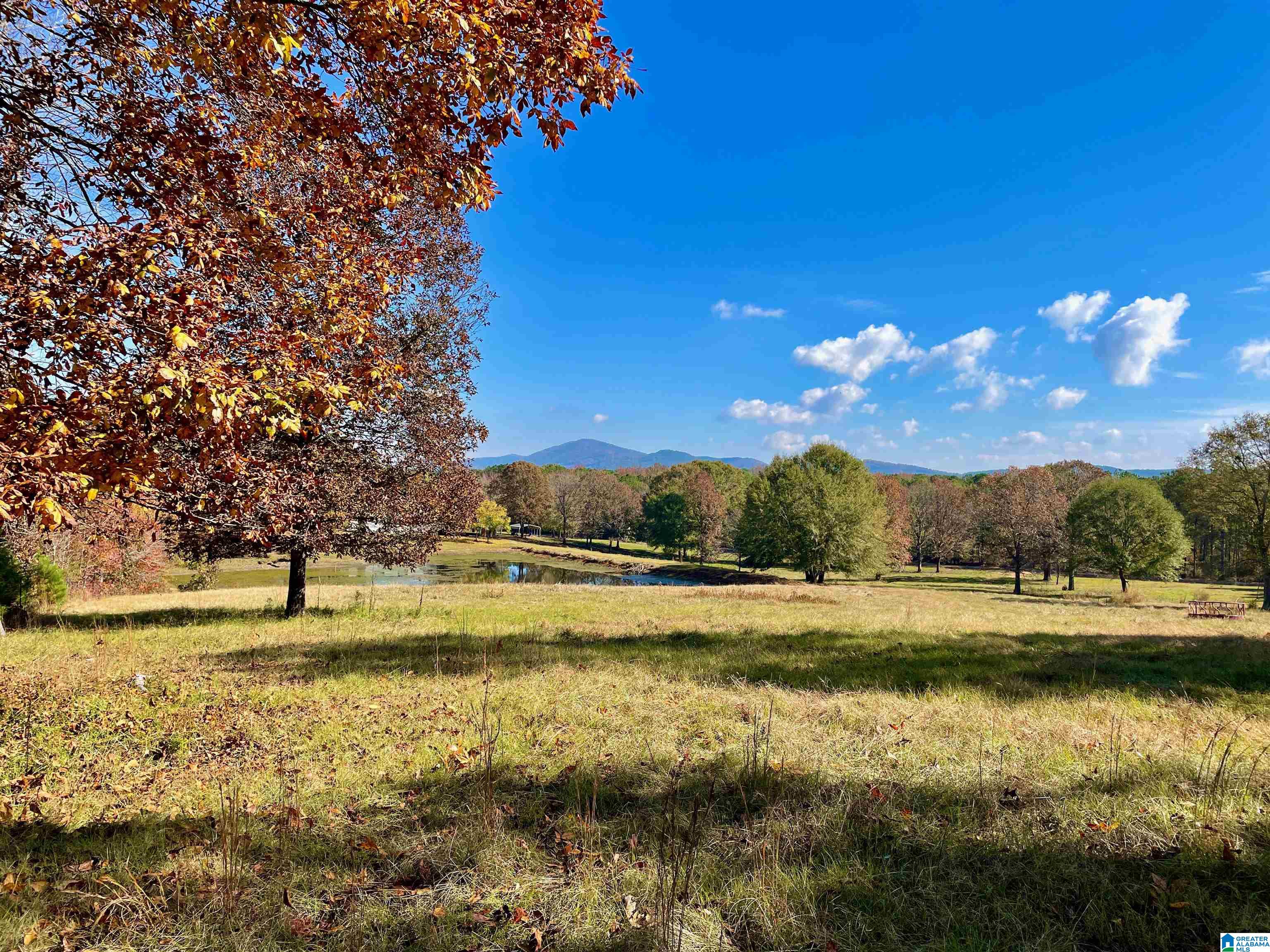 3086 Feddisburg Road Alpine, AL 35014 - Photo 1 of 14 Gallery Image 1