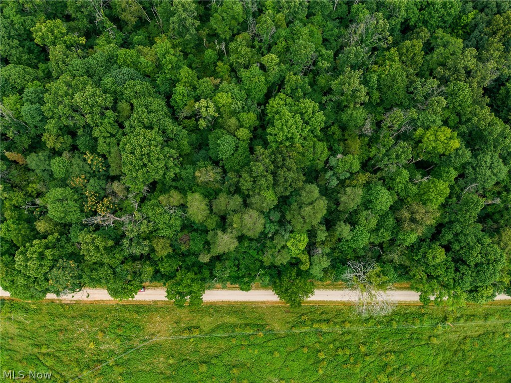 Peaker Run Road Macksburg, OH 45746 - Photo 12 of 44
