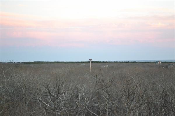 95 Litchfield Road Edgartown, MA 02539 - Photo 17 of 20 a view of lake with green space