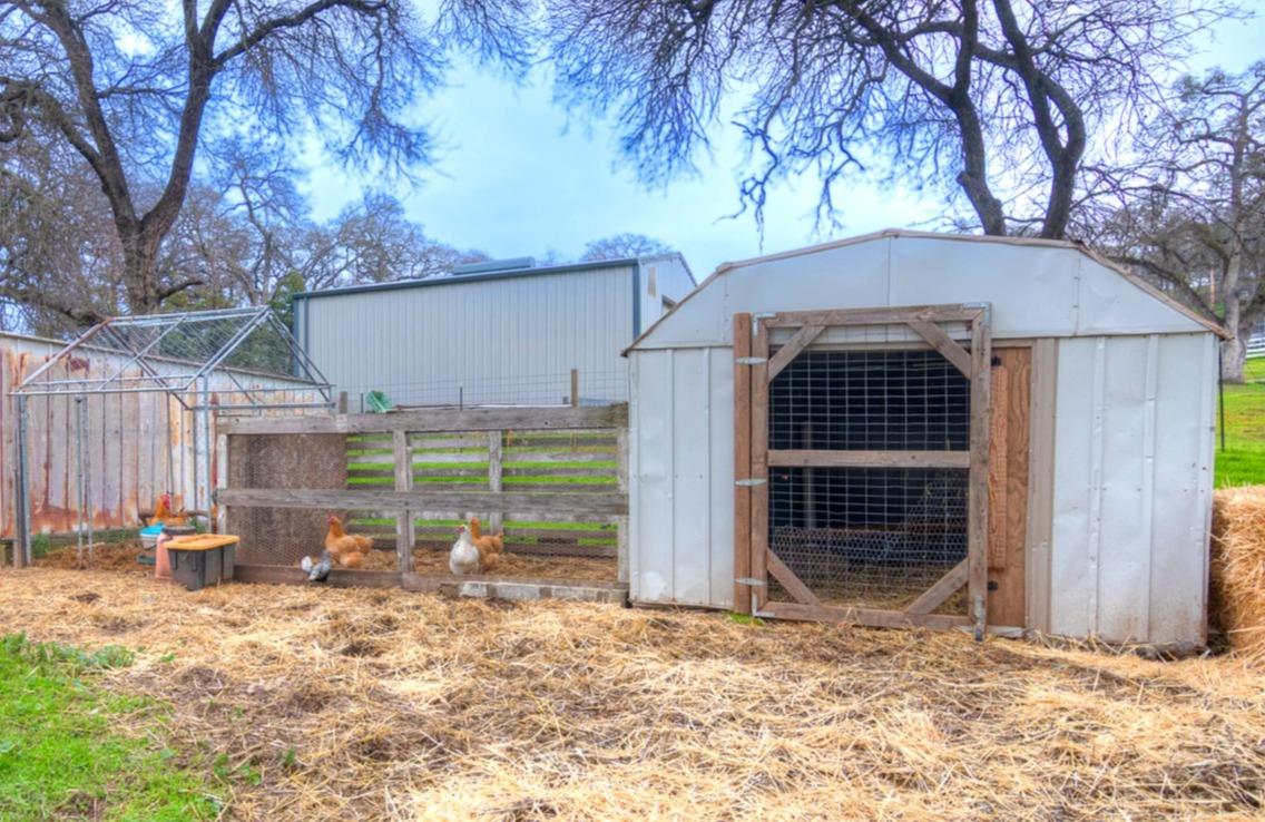 7535 Baldwin Street Valley Springs, CA 95252 - Photo 4 of 35 Even a home for the chickens!!!!